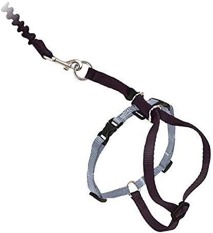 PetSafe Come With Me Kitty Cat Harness & Bungee Leash - Image 4