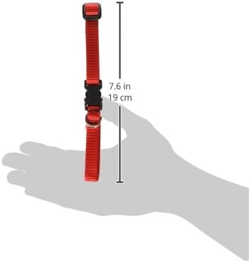 LupinePet Basics 1/2" Red 10-16" Adjustable Collar - Image 3