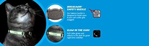 ROGZ CB09-K Glow in the Dark Reflective Cat Collar - Image 4