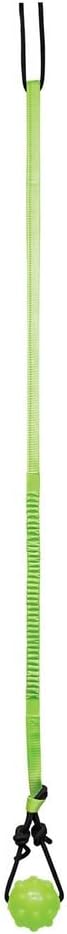 Jolly Pets Tree Tugger For Dog by JollyPets
