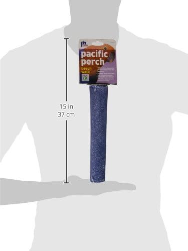 Prevue Pet Products Pacific Perch Beach Walk X-Large - Image 4