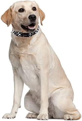 Roses&Poetry Dog Collar with Colourful Checkered Patterns, Adjustable Durable - Image 6