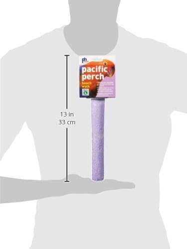 Prevue Pet Products Pacific Perch Beach Walk Large 1008 - Image 3