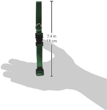 LupinePet Basics 1/2" Green 10-16" Adjustable Collar - Image 3