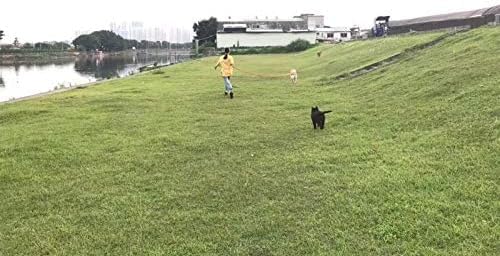 AMAGOOD Dog/Puppy Obedience Recall Training Agility Lead-15 ft 20 ft 30 ft 50 - Image 5