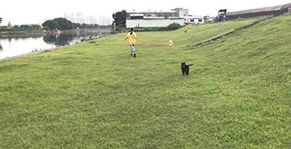 AMAGOOD Dog/Puppy Obedience Recall Training Agility Lead-15 ft 20 ft 30 ft 50 - Image 5
