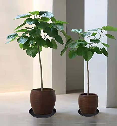 2 Pack of 14 inch Plant Saucer, Heavy Duty Round Plant Trays - Image 5