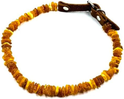 Baltic Amber Dog & Cat Collar - Image 5