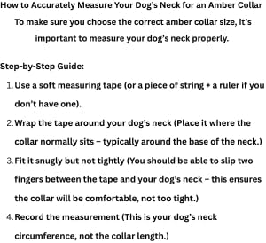 Baltic Amber Dog & Cat Collar - Image 2