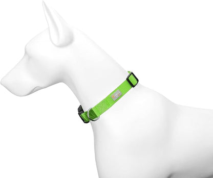 Dog Collar Green Basic Dog Collars - Image 4