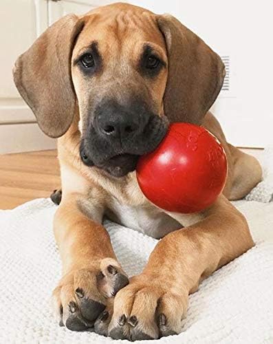 Jolly Pets Tug-n-Toss Heavy Duty Dog Toy Ball - Image 2