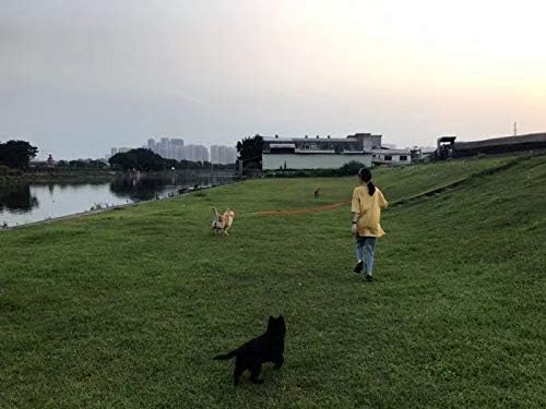 AmaGood Dog/Puppy Obedience Recall Training Agility Lead-15ft 20ft 30ft 50ft - Image 8