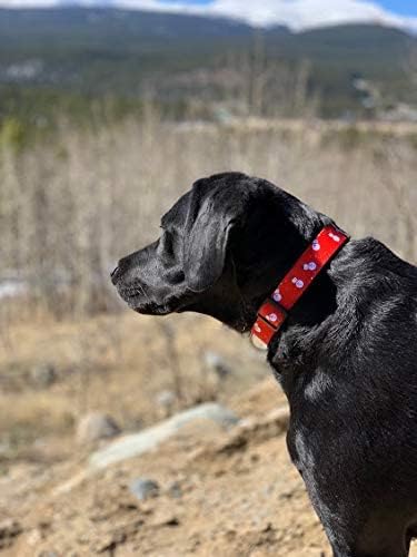 Native Pup Christmas Dog Collar- Winter Holiday Collars - Image 6