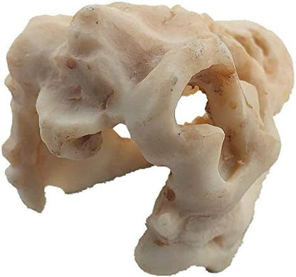 2 Pack Dinosaur Aquarium Decorations Skull Aquarium Ornament Mini Dinosaur Mold - Image 6