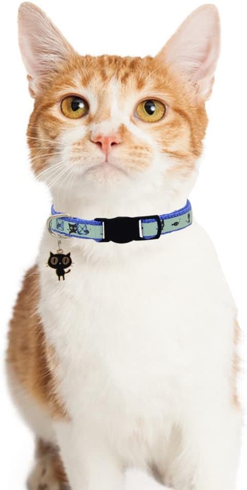 2 Pack Glow in The Dark Cat Collar - Image 6
