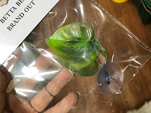 CousDUoBe 2 Pack Betta Fish Leaf Pad Improves Betta's Health by Simulating The - Image 6