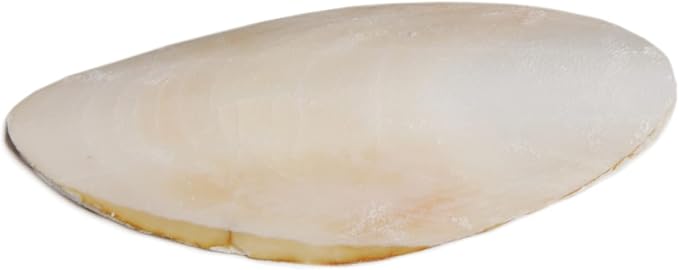 Prevue Pet Products Bpv1143 5-Inch Bird Cuttlebone - Image 3