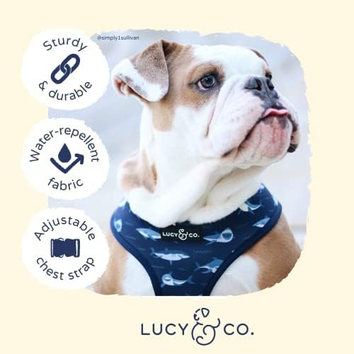Reversible Dog Harness Walking Halter - Image 4