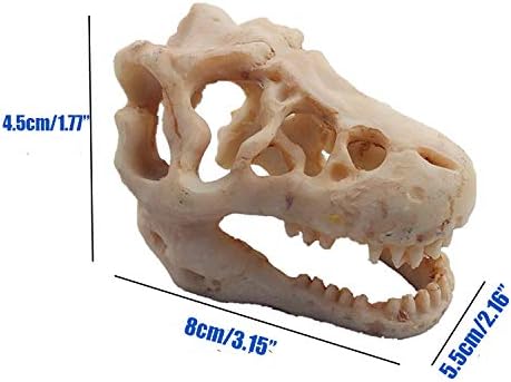 Resin Dinosaur Skull Aquarium Ornament Mini Dinosaur Tank Decoration Betta Fish - Image 4