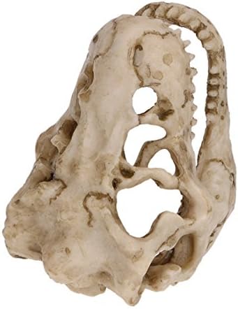 Resin Dinosaur Skull Aquarium Ornament Mini Dinosaur Tank Decoration Betta Fish - Image 6