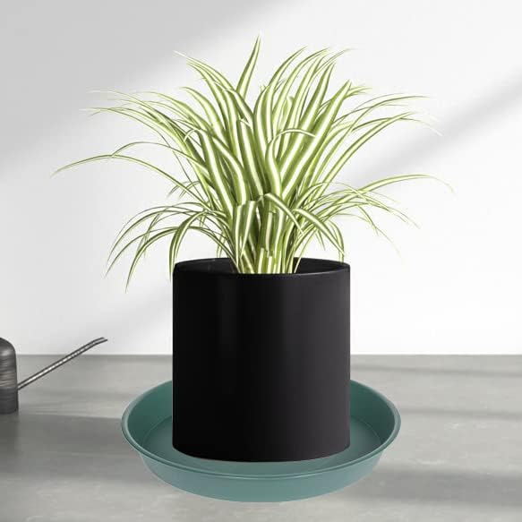 6 Pack Plastic Plant Saucer Planter Water Drip Tray, 4 5 6 7 8 9 10 11 12 inch - Image 7