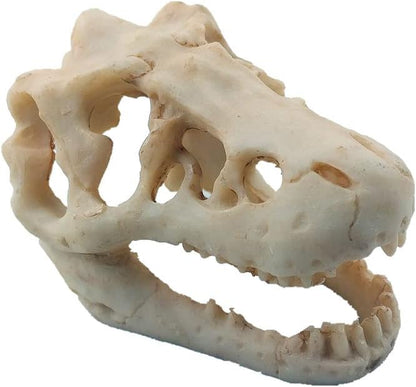 Resin Dinosaur Skull Aquarium Ornament Mini Dinosaur Tank Decoration Betta Fish by MTGHYARE