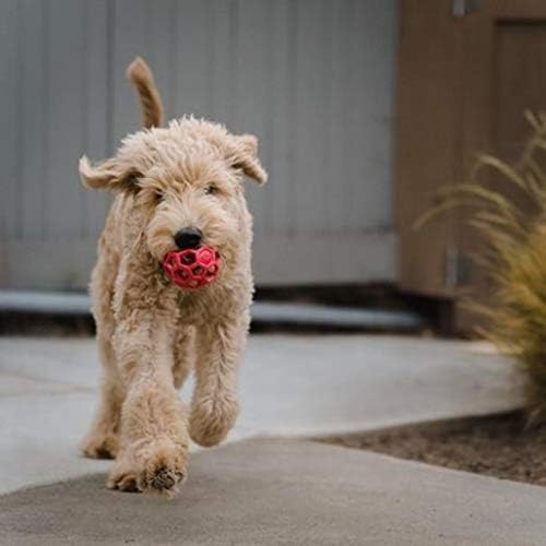 JW Pet Hol-ee Roller Dog Toy Puzzle Ball, Natural Rubber, Colors May Vary - Image 7