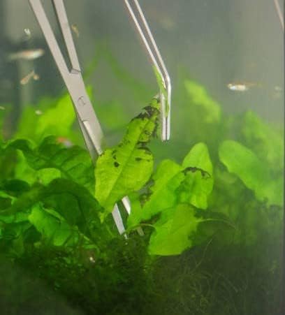 A2Z-Aquascaping Maintenance Tools Accessories, Anti-Rust Stainless Steel - Image 4