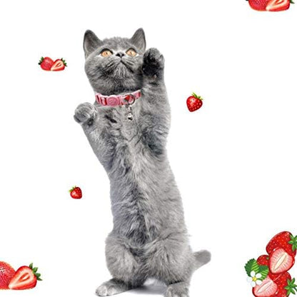 azuza 4 Pack Cat Kitten Collar Breakaway - Image 3