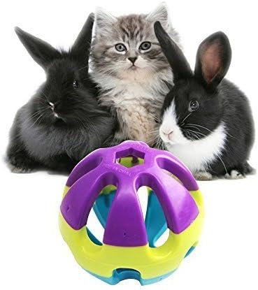 Hypeety Pet Parrot Toy Plastic Colorful Birds Ball - Image 8
