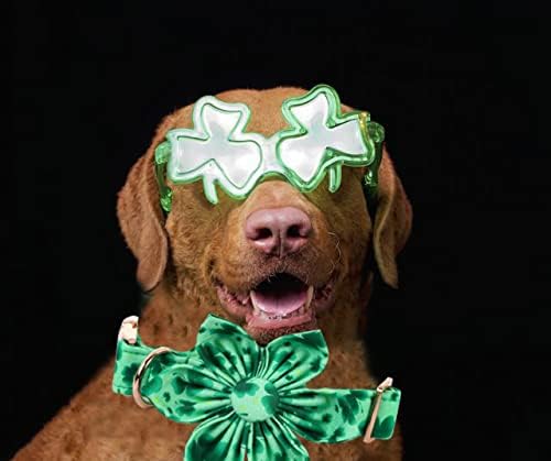 Lionheart Glory St. Patrick's Day Dog Collar, Dog Collar - Image 5
