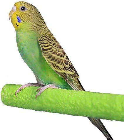 Bird Cage Perch Parrot Sand-Surface Stand 2Pack Grinding Wood Stick Platform - Image 4