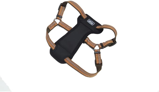Coastal Pet K9 Explorer Reflective Adjustable Padded Dog Harness by CoastalPet