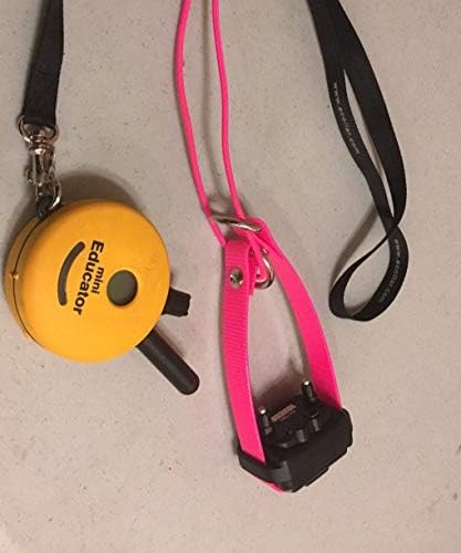 Sparky Pet Co - ECollar Replacement Strap - Bungee Dog Collar - Waterproof - - Image 2