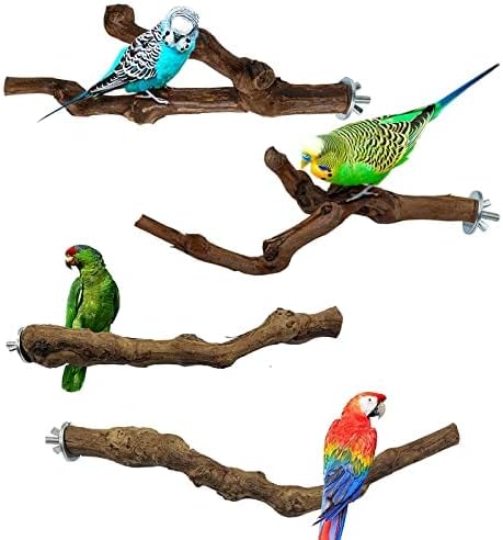 Bird perches Bird Perch Stand Perches by H+HONG+RI+SHENG