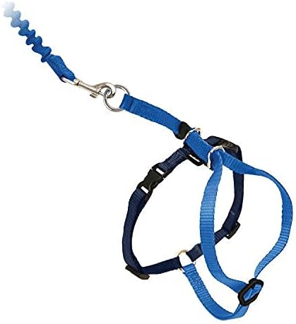 PetSafe Come with Me Kitty Cat Harness & Bungee Leash - Image 4