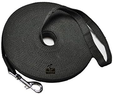 Downtown Pet Supply Long Dog Puppy Obedience Recall Training Agility Lead by DowntownPetSupply
