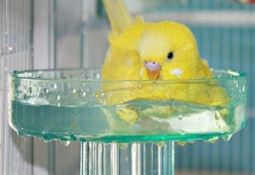 Lixit Quick Lock Bird Cage Bath - Image 2