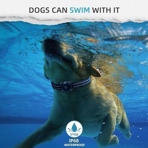GPS Tracker for Dogs, Mini GPS Cat Tracker, Smart Pet Activity Tracker - Image 2