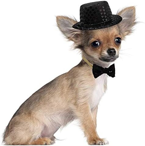 Christmas Pet Party Jazz Hat and Blingbling Bow Tie Breakaway Collar Set - Image 4