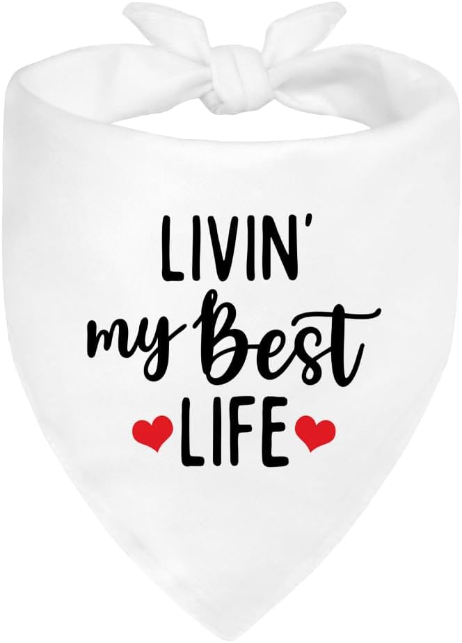 Livin' My Best Life White Dog Bandana, Sunshine Dog Bandanas Accessories by ZBBFSCSB