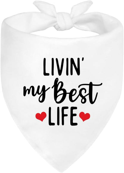 Livin' My Best Life White Dog Bandana, Sunshine Dog Bandanas Accessories by ZBBFSCSB