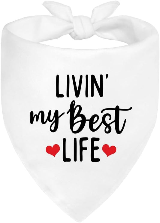 Livin' My Best Life White Dog Bandana, Sunshine Dog Bandanas Accessories by ZBBFSCSB