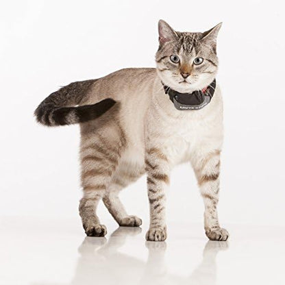 Marco Polo Advanced Pet Monitoring, Tracking and Locating System - Image 3