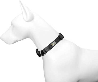 Dog Collar Black Basic Adjustable Dog Collars - Image 4