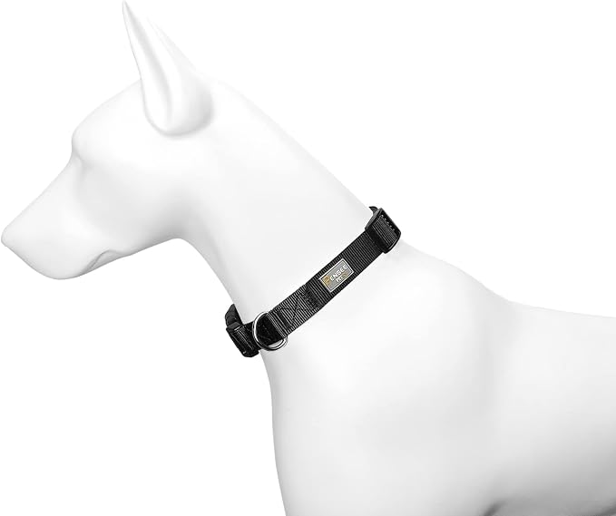 Dog Collar Black Basic Adjustable Dog Collars - Image 4
