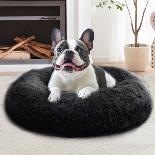 JOLLYVOGUE Calming Dog Bed Large Size Dog, Anti-Anxiety Donut Large Pet Bed by JOLLYVOGUE