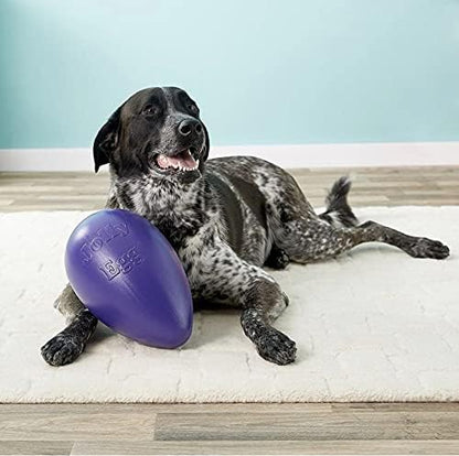 Jolly Pets Jolly Egg Dog Toy, 12 Inches/Large - Image 7