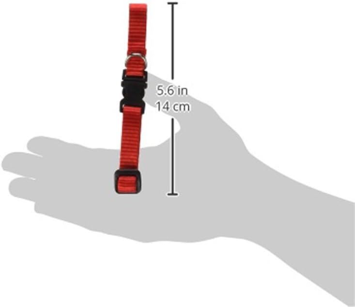 LupinePet Basics 1/2" Red 8-12" Adjustable Collar - Image 3