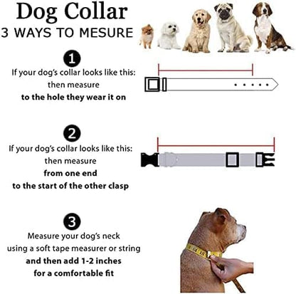 Roses&Poetry Reflective Dog Collar - Image 8